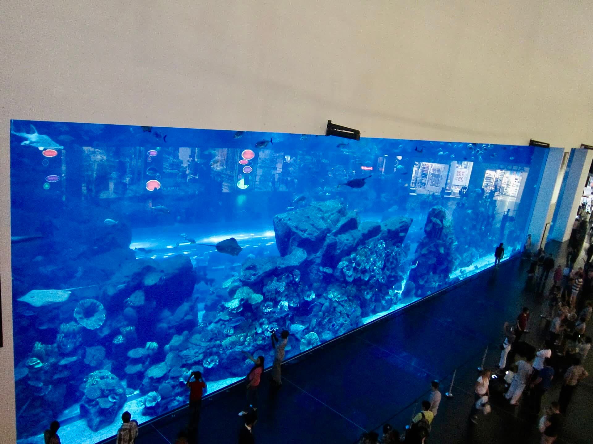 Dubai Aquarium at Dubai Mall: the outing and the journey home are both part of a family day.